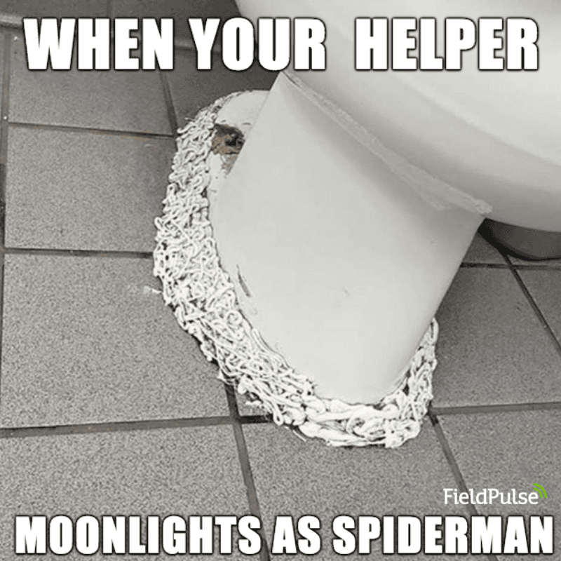 5f9aa2ca3f377345fc3e7447_z1.png