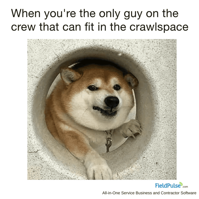 5f9aa2ca3ff84a3f1d074540_37748175_2127786477509898_7571790814704041984_n.png